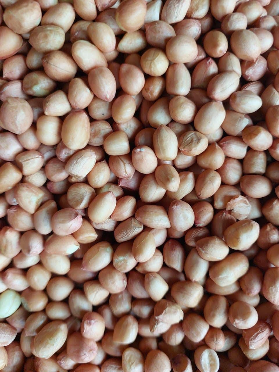 Premium Raw Peanuts